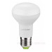 LED лампа Eurolamp ЕКО 