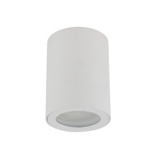 Точковий світильник TK Lighting 10932 Ligno GU10 1x10W IP44 білий