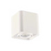 Точковий світильник Goldlux 325402 Xeno GU10 1x10W IP20 білий