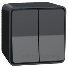 Накладний прохідний 2-клавішний перемикач Schneider Electric MUR35022 (сх.6+6) IP55 (чорний)