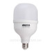 Світлодіодна лампа TNSy LED Bulb-T100-30W-E27-220V-4000K-3150L GOLDEN (TNSy5000259)
