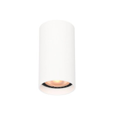 Точковий світильник Italux CLN-48930-S-WH Lopus GU10 1x10W IP20 білий