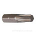 Біти WorkS Torx 30x25мм (2шт)